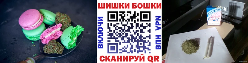 Купить  Карабаш  Canna-Cookies конопля 