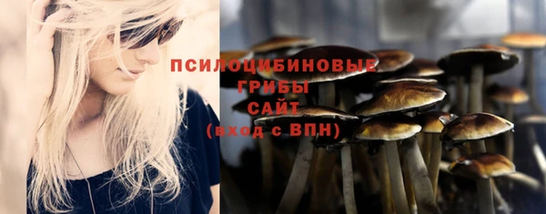 прущие крисы Заводоуковск