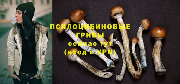 скорость Ельня